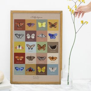 Motyle dzienne – patchwork – ilustracja