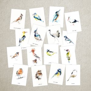 Ptaki – zestaw 16 kart z roślinami – A6 lub A5