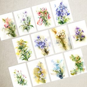 Zestaw 12 kart – Kwiaty – A6 lub A5